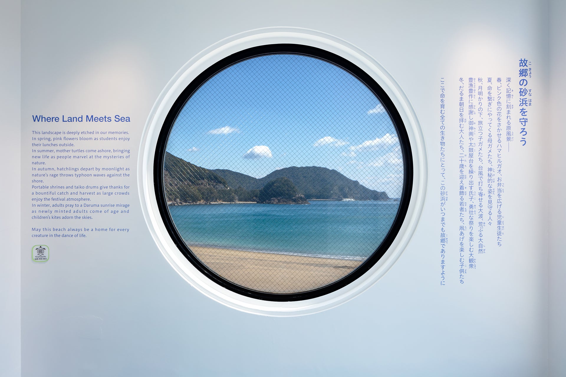 日和佐うみがめ博物館カレッタ リニューアル4